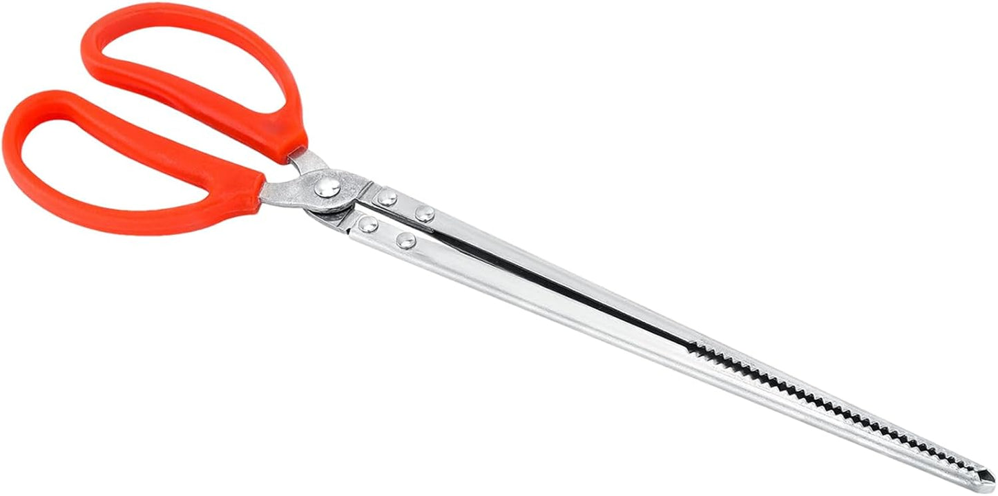 Snake Feeding Tongs - Straight mouth | 38cm