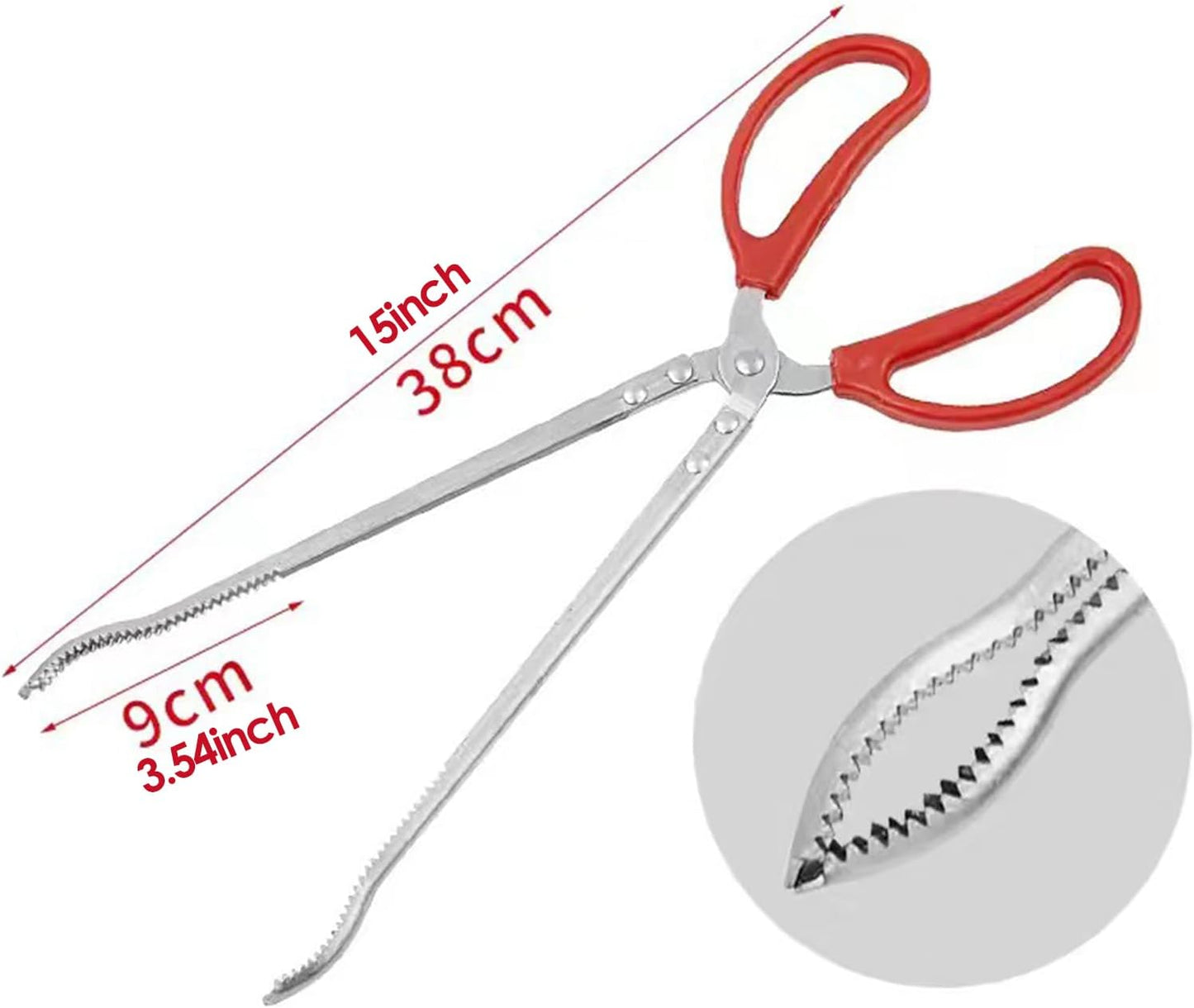 Snake Feeding Tongs - Curved Mouth | 38cm