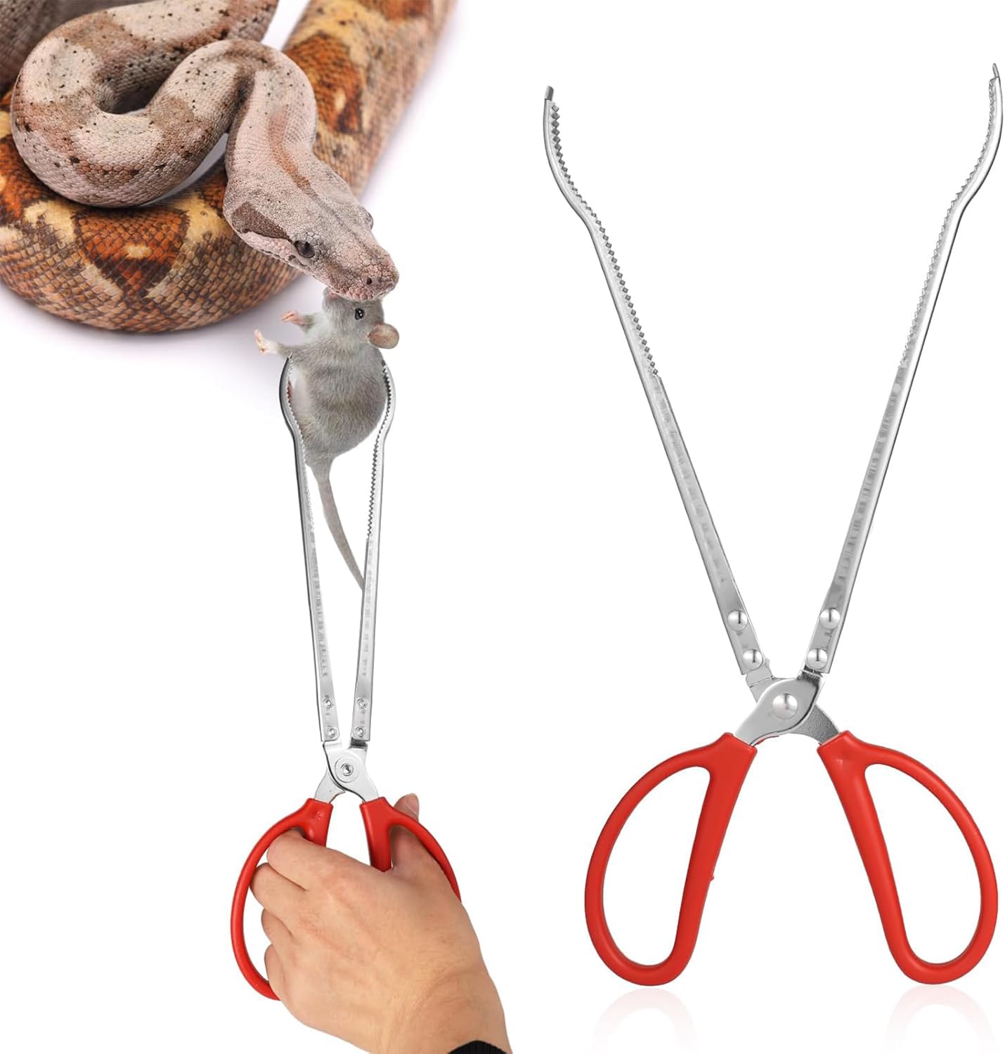 Snake Feeding Tongs - Curved Mouth | 38cm