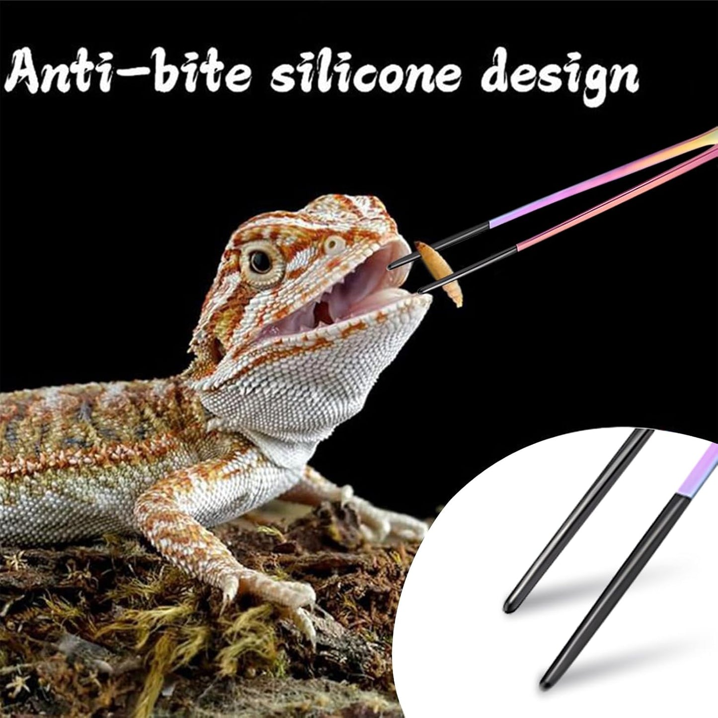 Feeding Pliers Multi Colour | Straight End | 27 cm